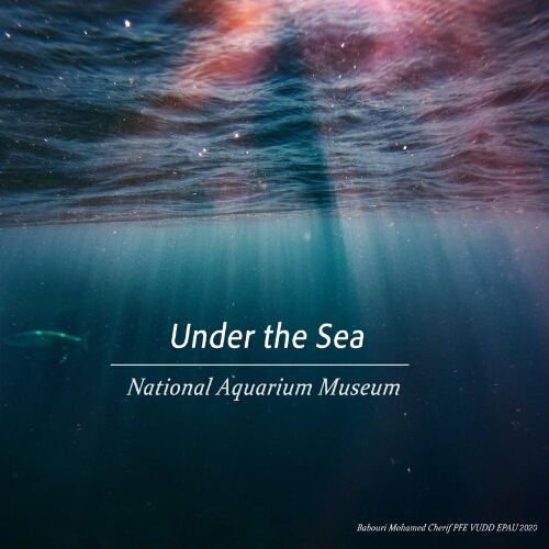 Under the sea Under the sea