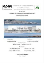 Les Composantes identitaires du passage urbain de la bais d'Alger Les Composantes identitaires du passage urbain de la bais d'Alger