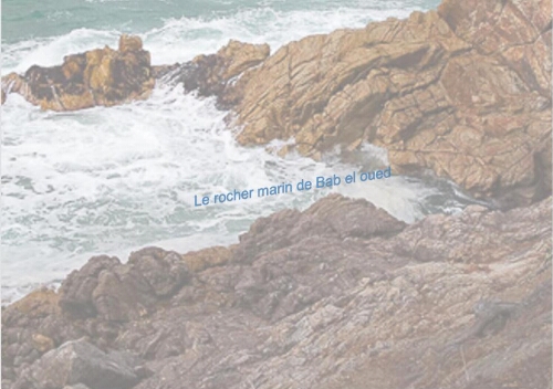 Le rocher marin de Bab El Oued Le rocher marin de Bab El Oued