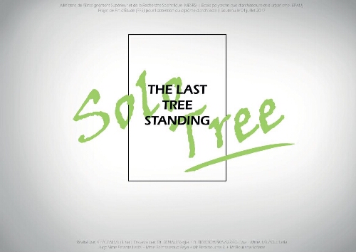 The last tree standing The last tree standing