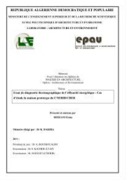Essai de diagnostic thermographique de l'efficacité énergétique Essai de diagnostic thermographique de l'efficacité énergétique