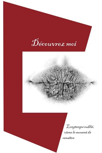 Réhabilitation et reconversion de la halle Volta ex marché Dlaise Réhabilitation et reconversion de la halle Volta ex marché Dlaise